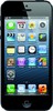 Apple iPhone 5 16GB - Всеволожск